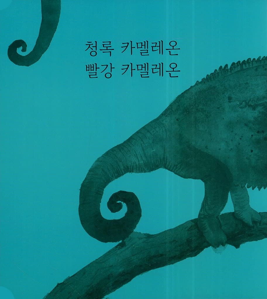 두 빛깔이 만났어요