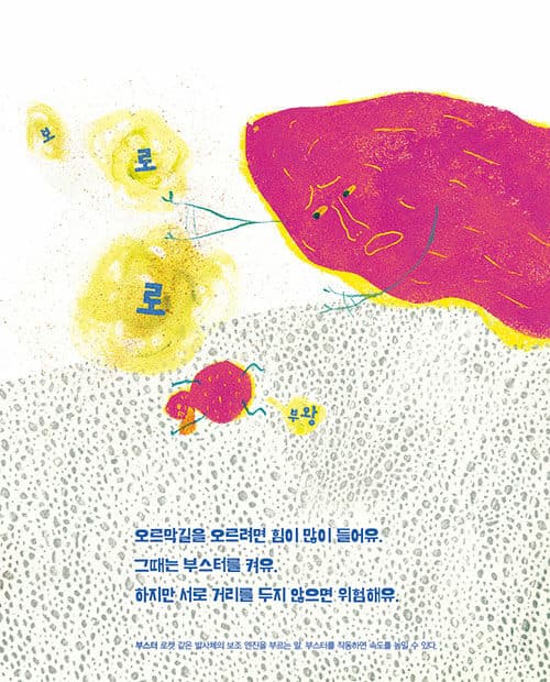 고구마유