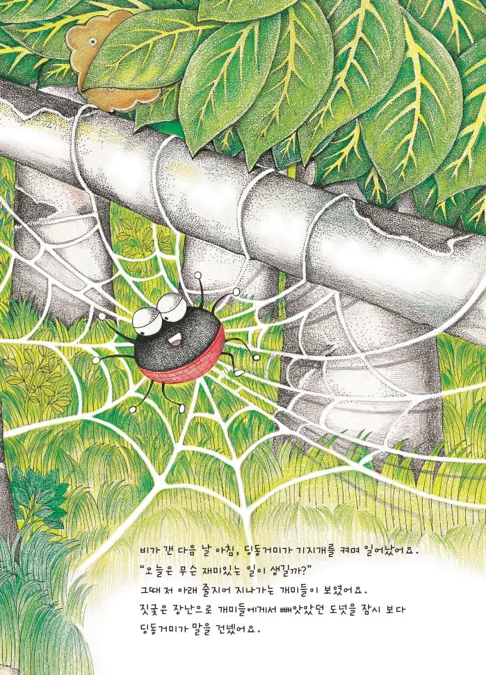 딩동거미와 개미