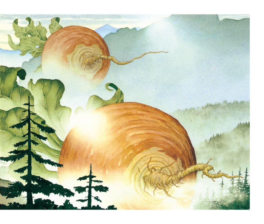 1999년 06월 29일