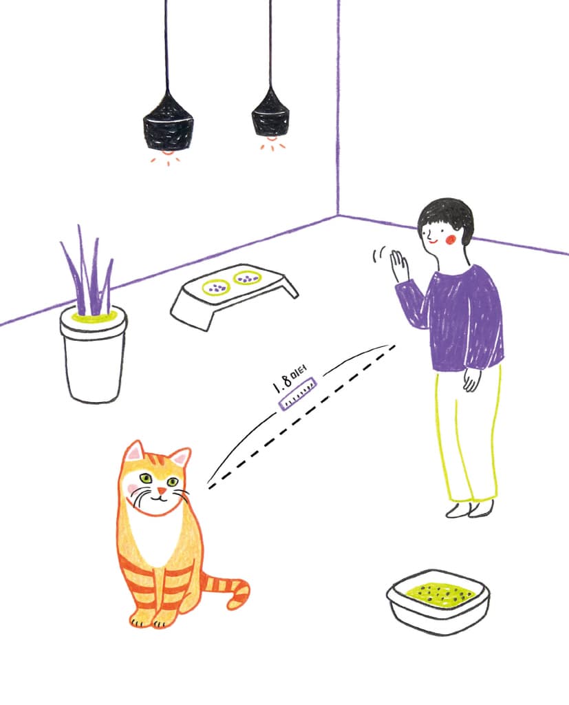 고양이 마음 사전