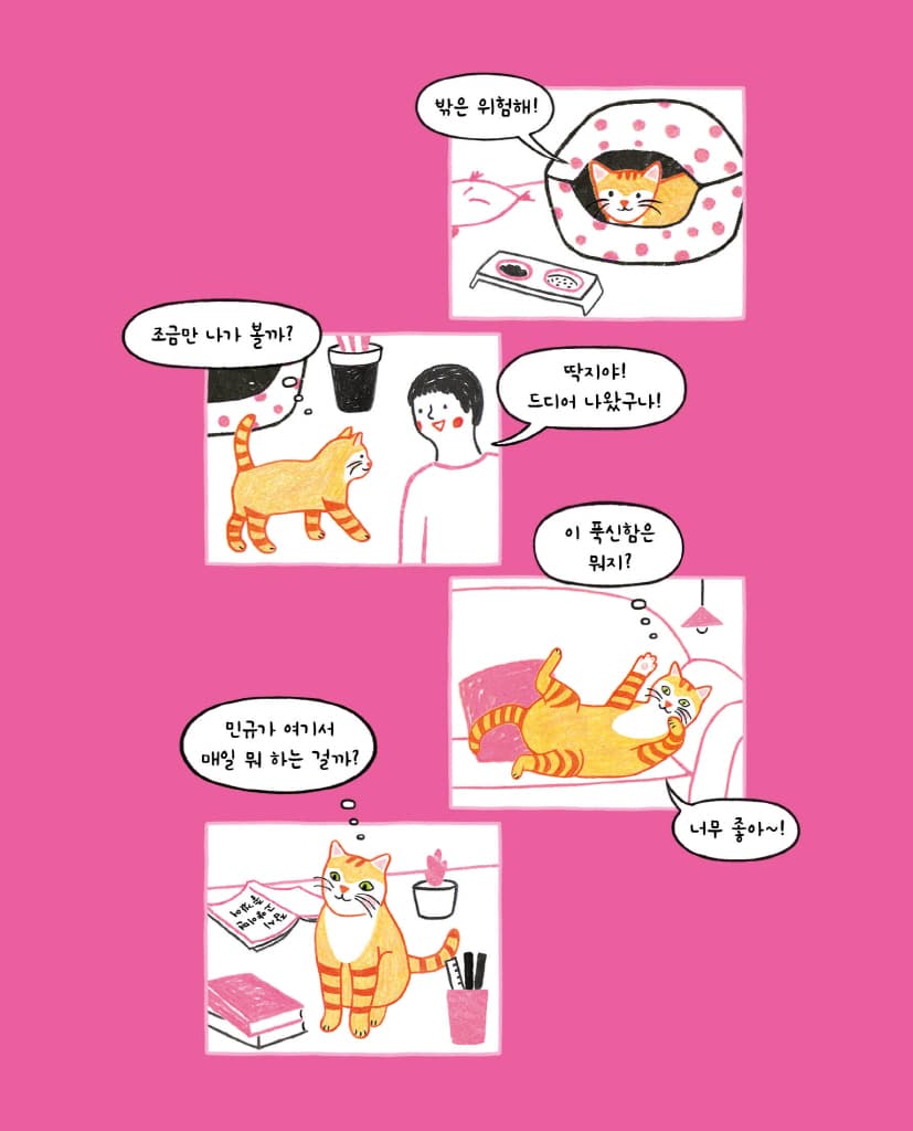 고양이 마음 사전