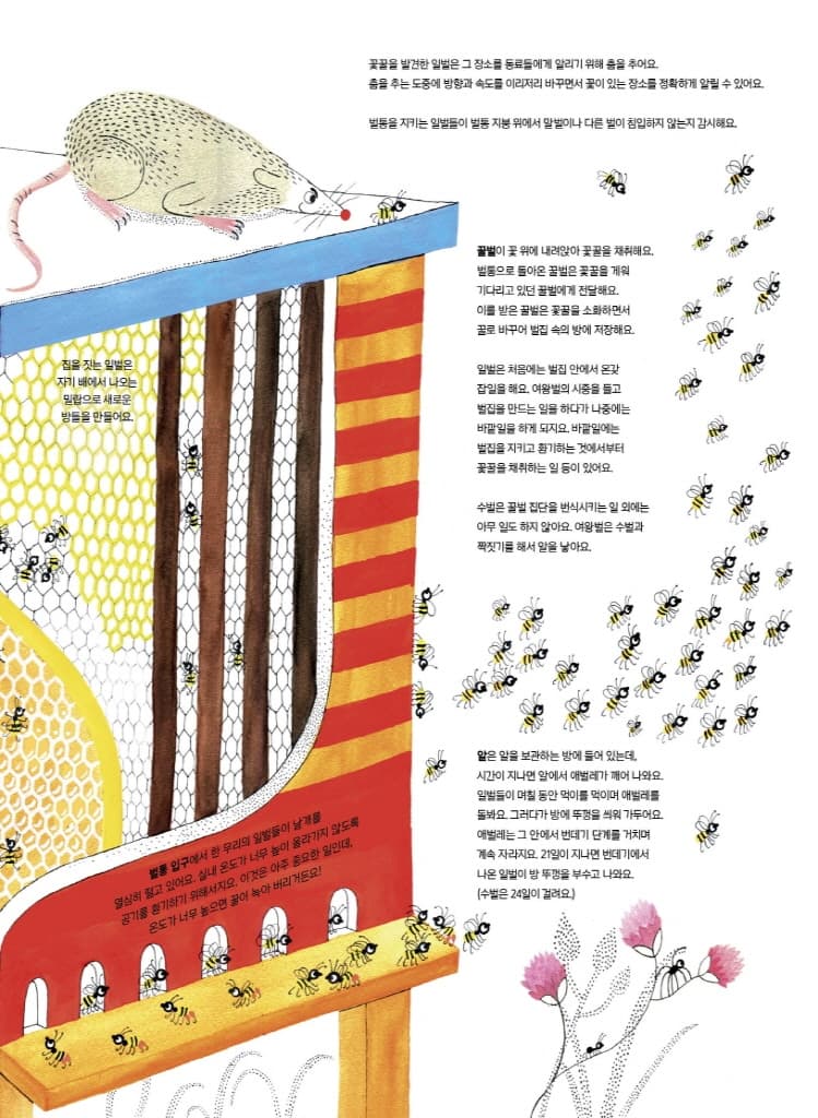 1001마리 꿀벌