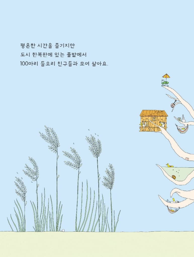 100마리 들오리의 즐거운 하루
