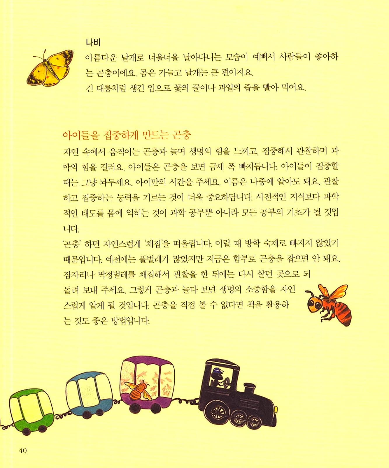 곤충 기차를 타요