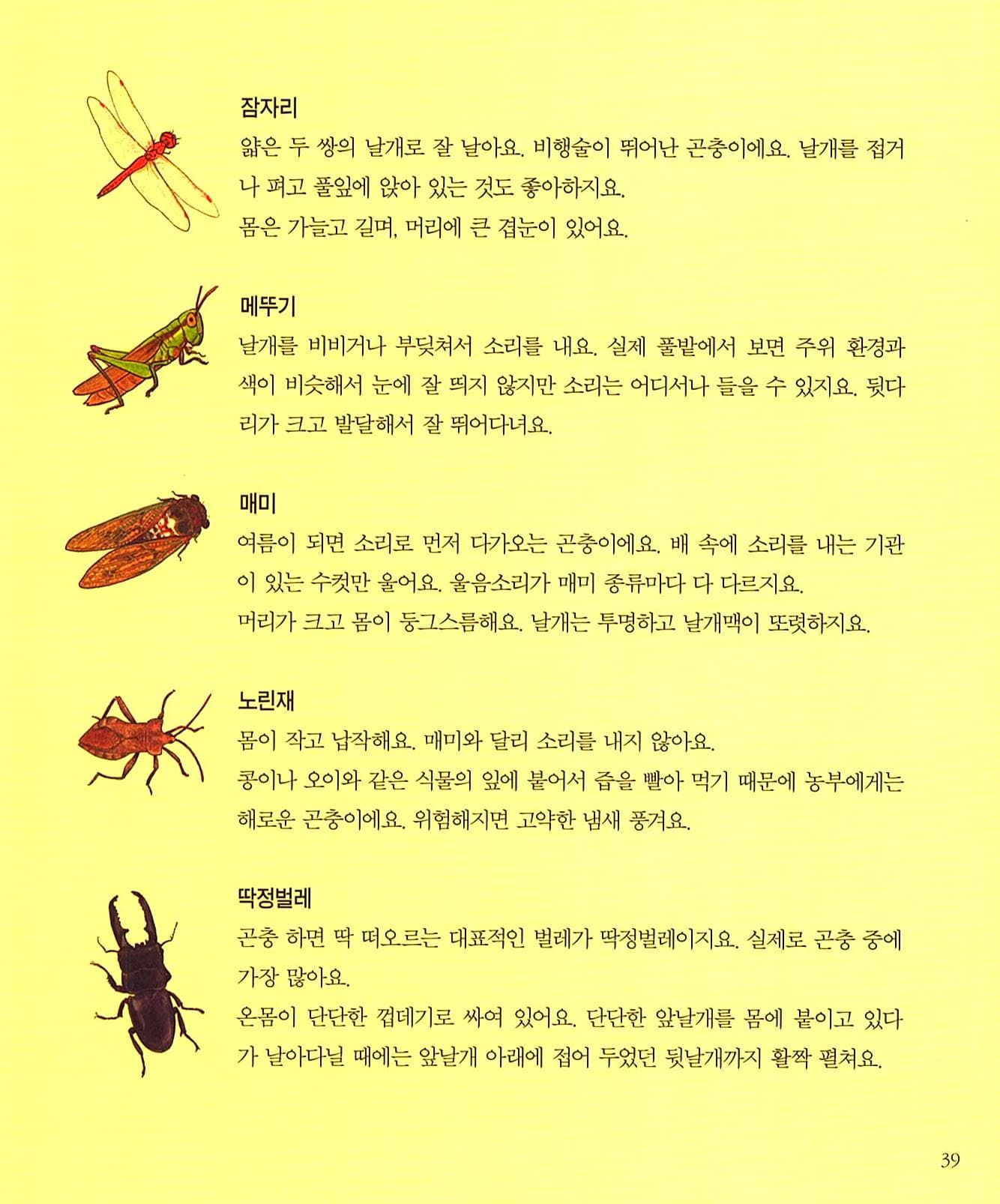 곤충 기차를 타요
