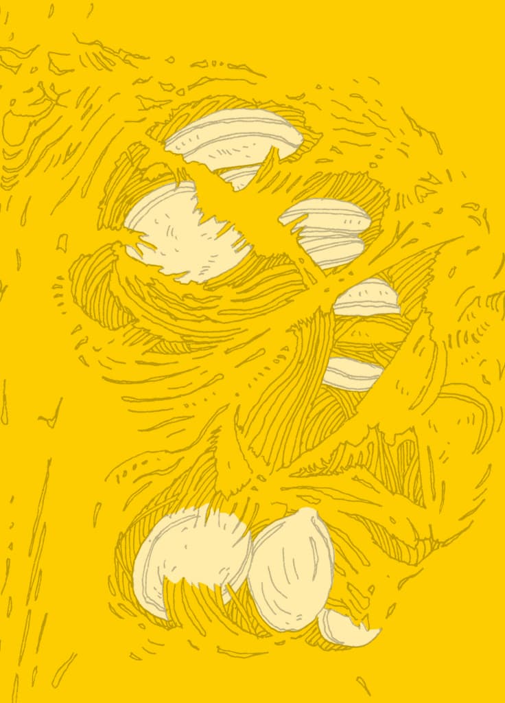 14마리의 호박