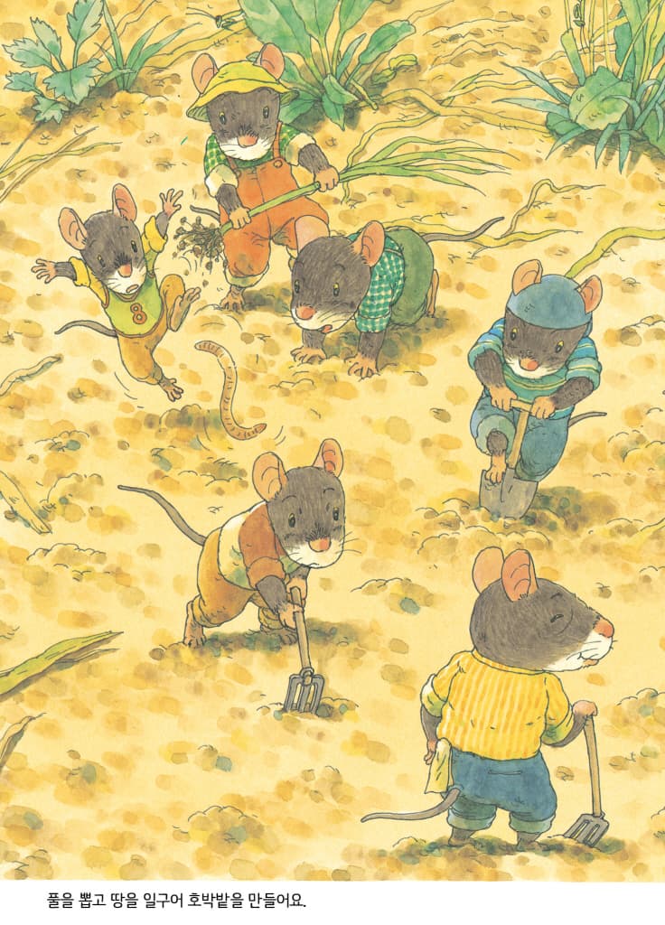 14마리의 호박