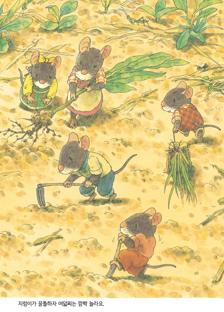 14마리의 호박