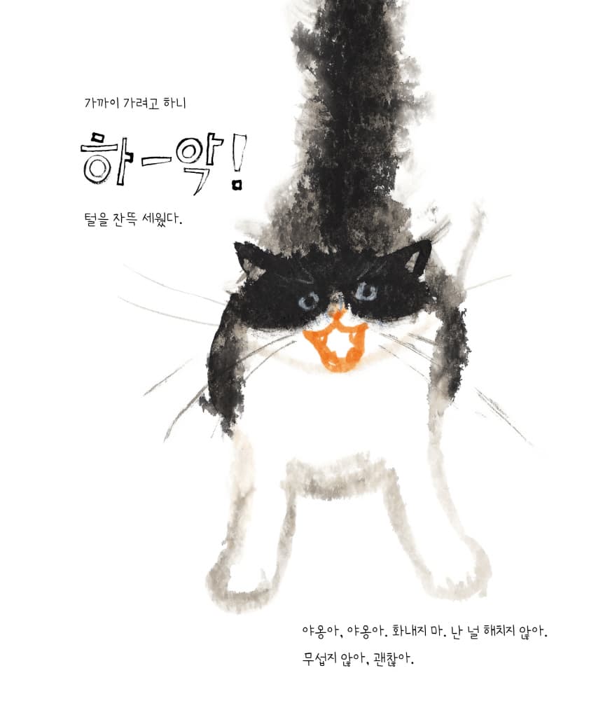 우리 집 고양이