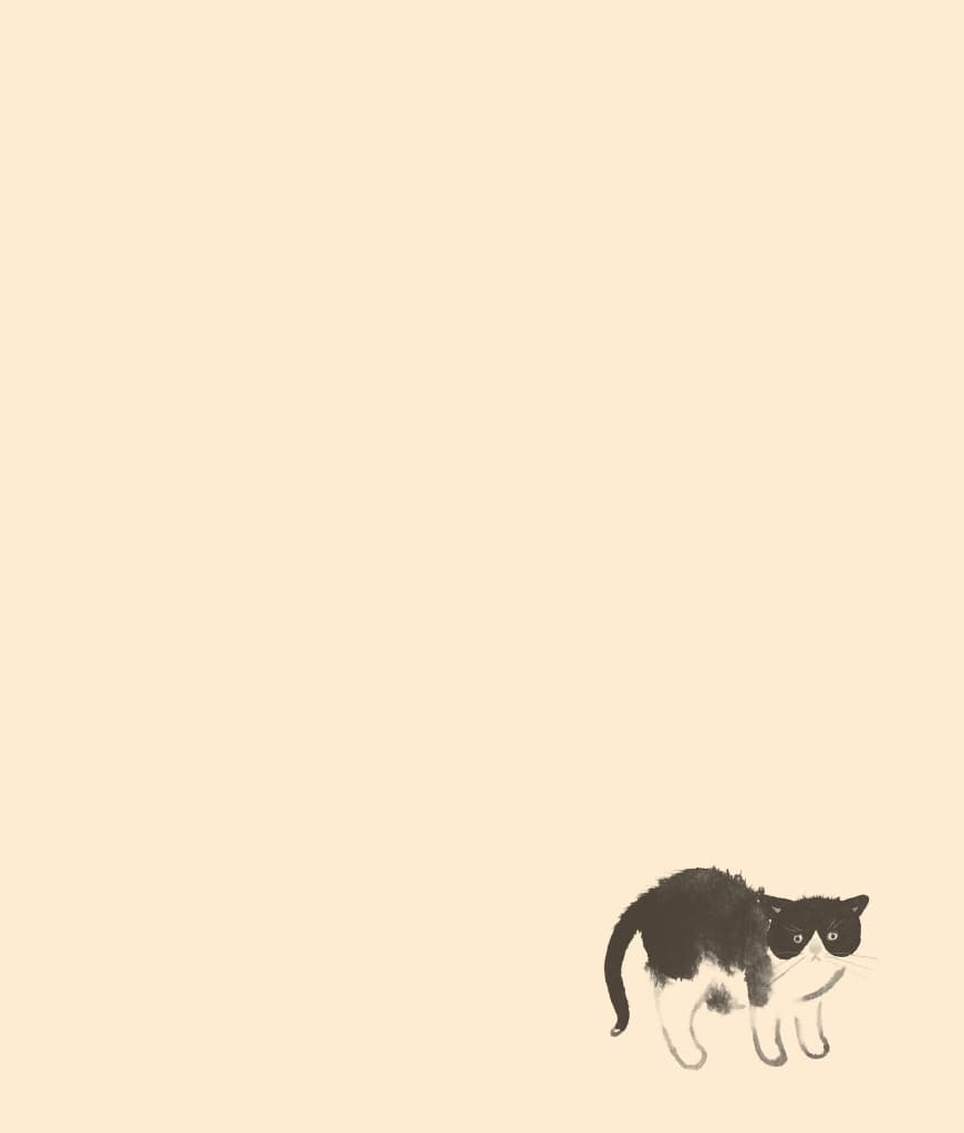 우리 집 고양이