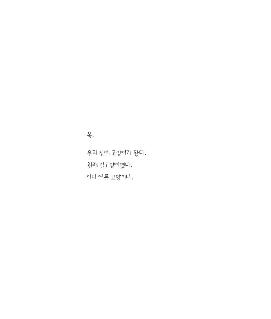 우리 집 고양이
