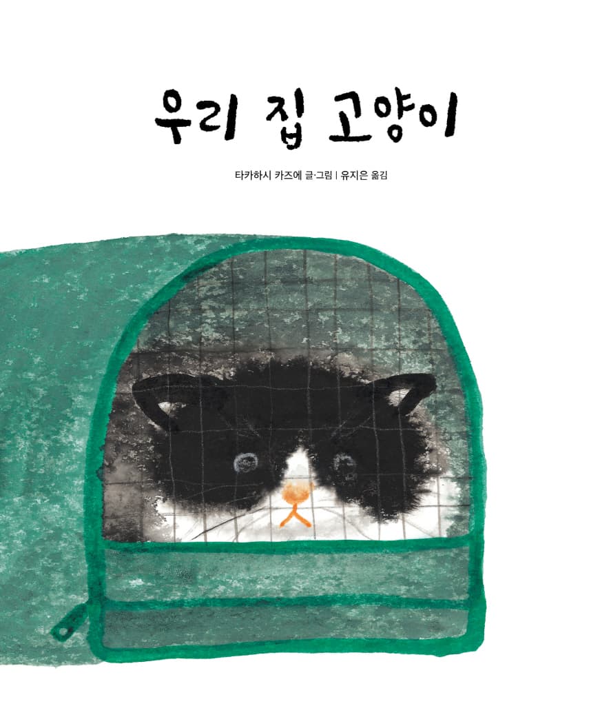 우리 집 고양이
