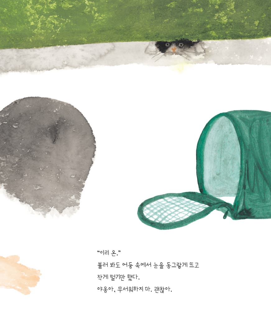 우리 집 고양이