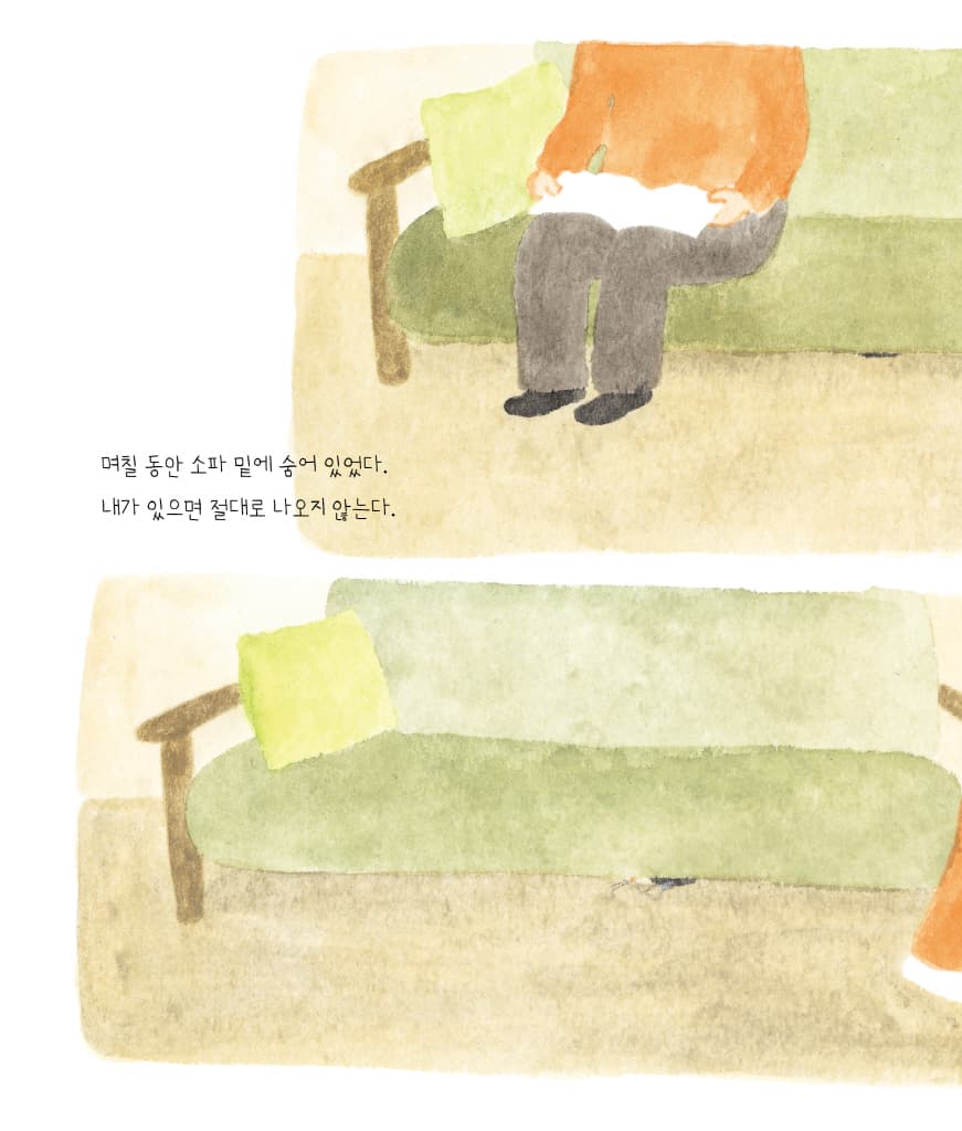 우리 집 고양이