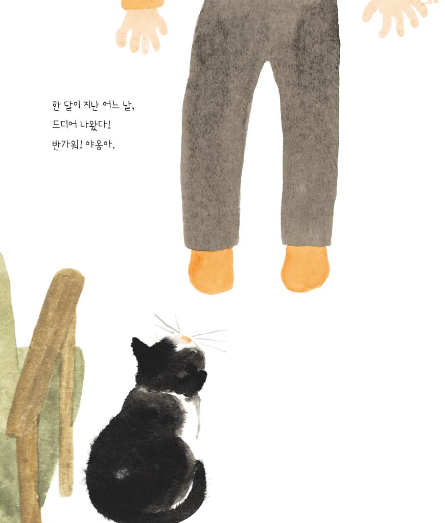 우리 집 고양이