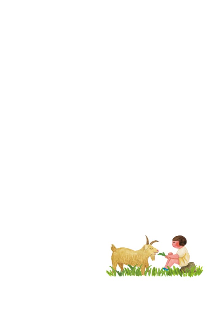 많고 많은 것