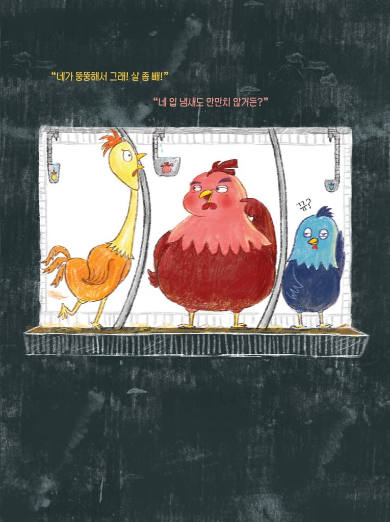 4번 달걀의 비밀