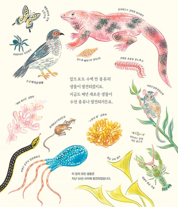 많아요