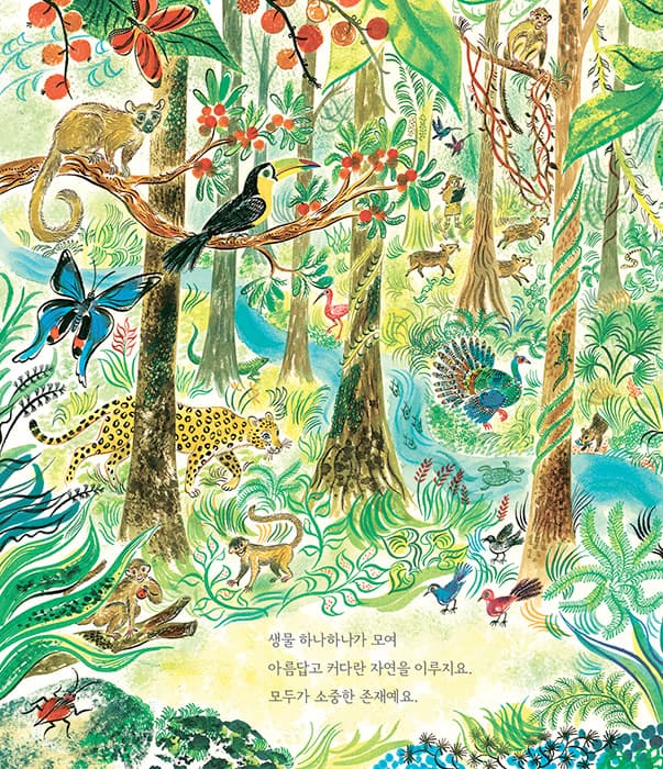 많아요