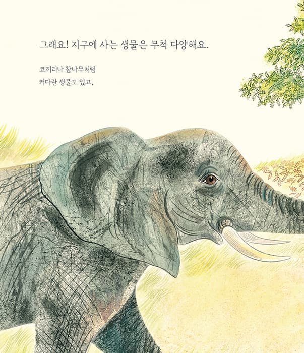 많아요