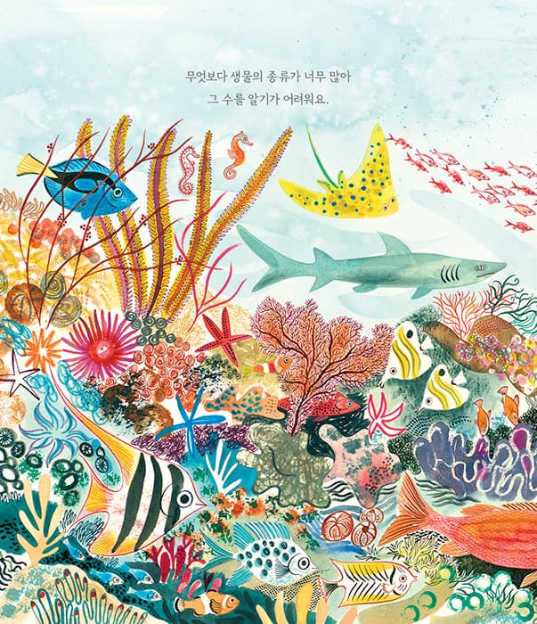많아요