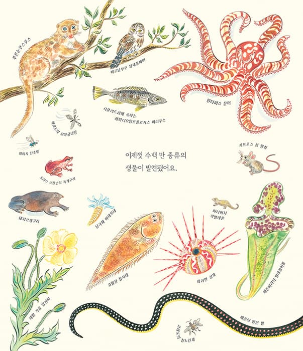 많아요