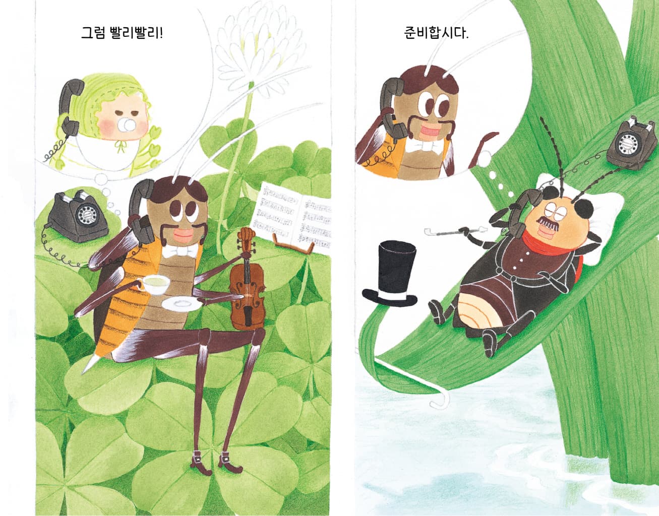 매미 씨, 드디어 오늘 밤입니다