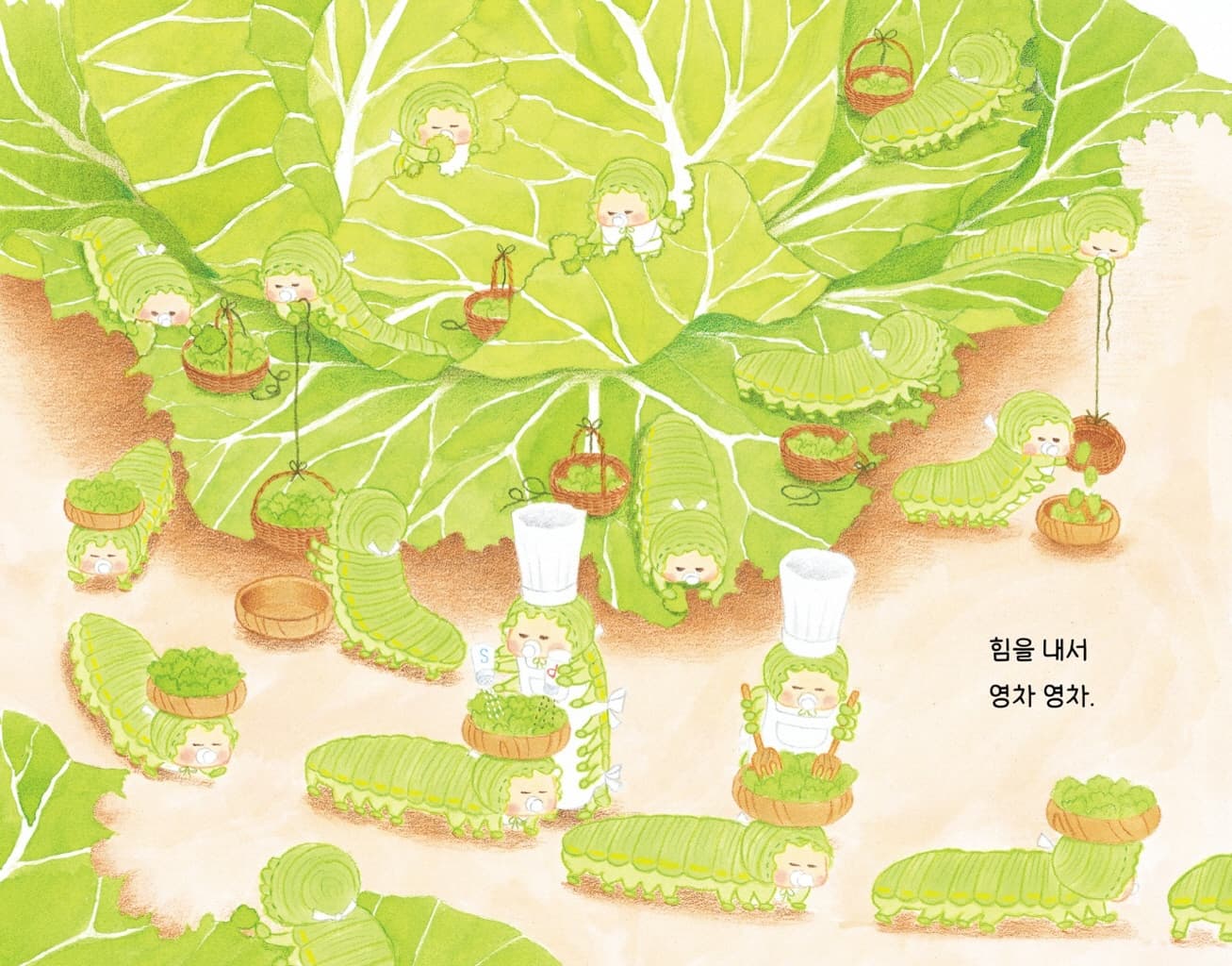 매미 씨, 드디어 오늘 밤입니다