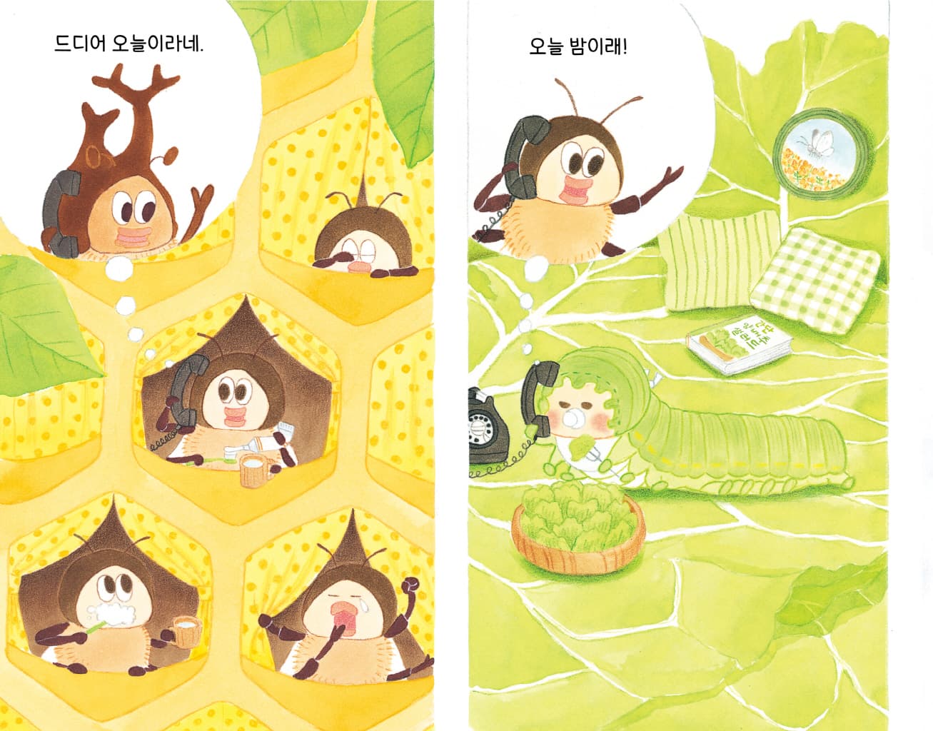 매미 씨, 드디어 오늘 밤입니다