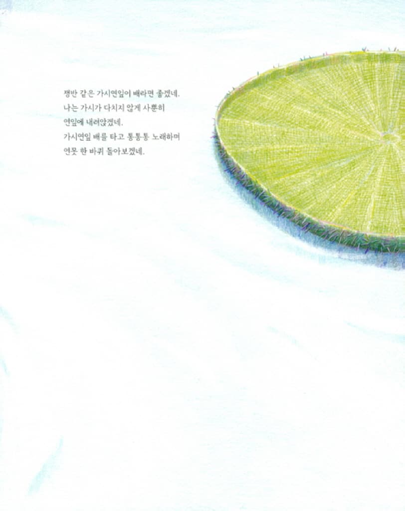 가시연잎이 말했네
