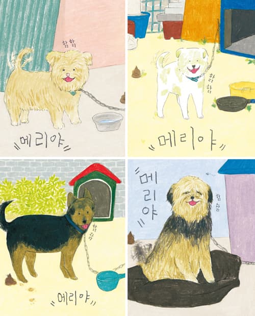 메리