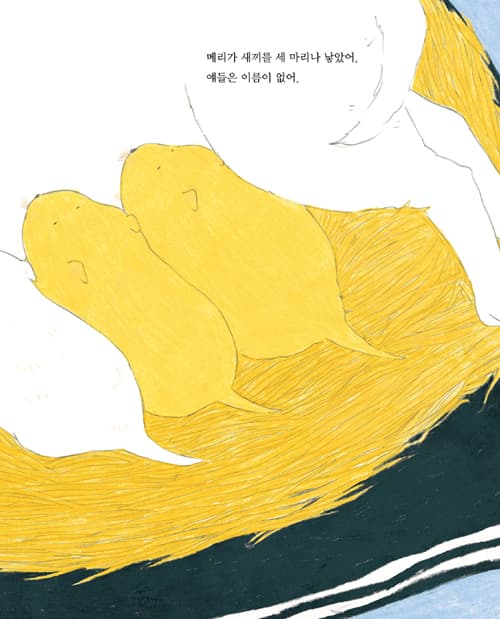 메리