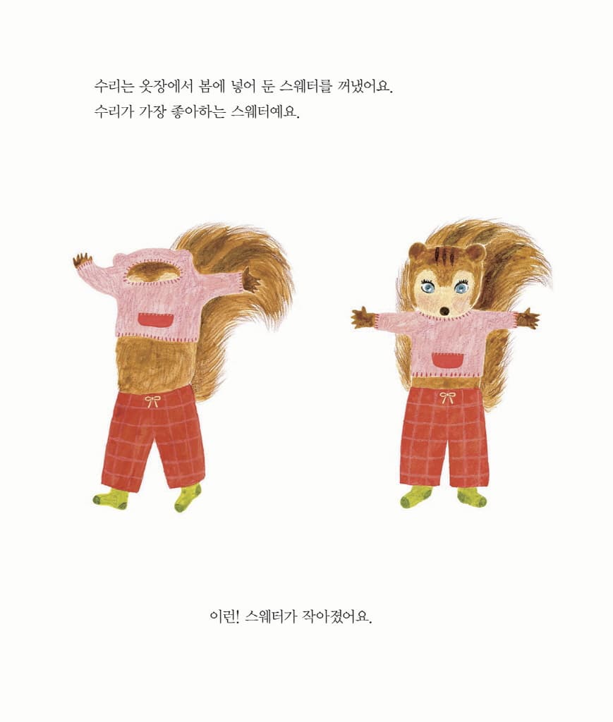 가을의 스웨터
