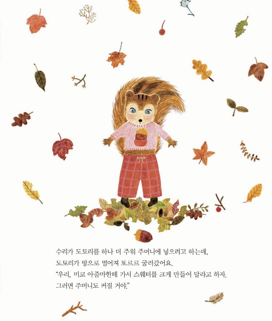 가을의 스웨터