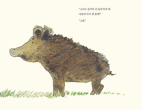 울타리 너머