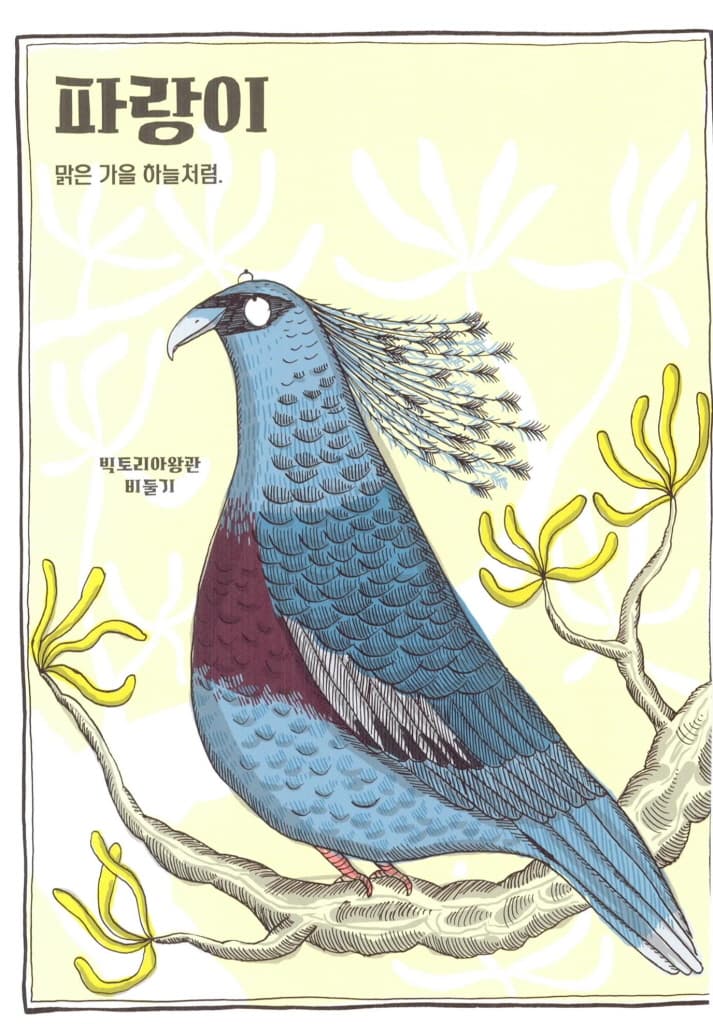 웃기는 동물 사전
