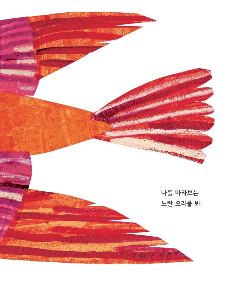 갈색 곰아, 갈색 곰아, 무얼 바라보니?