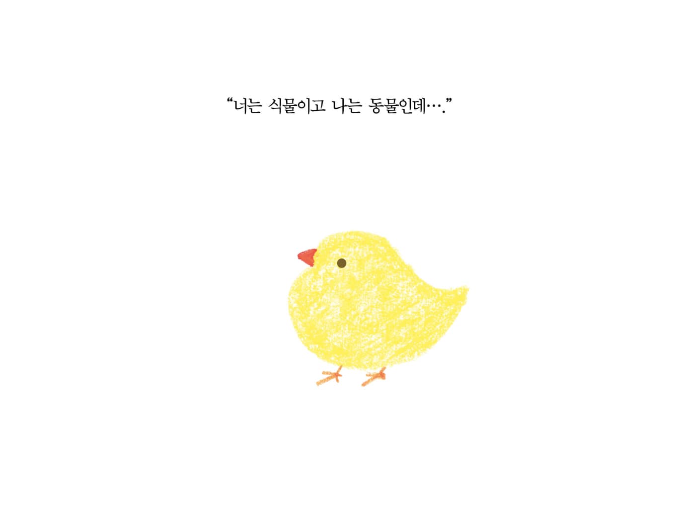 감자 친구