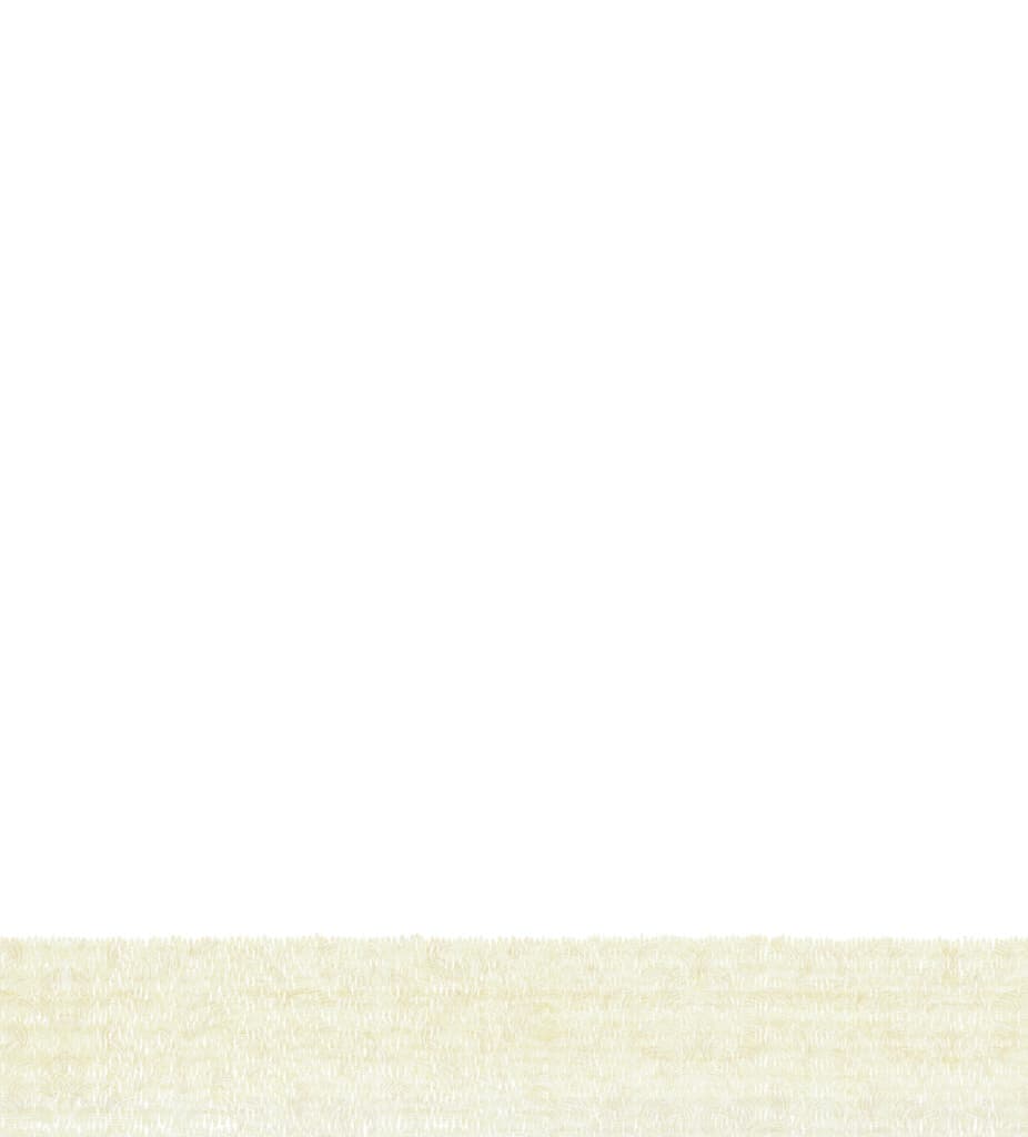 목련 만두