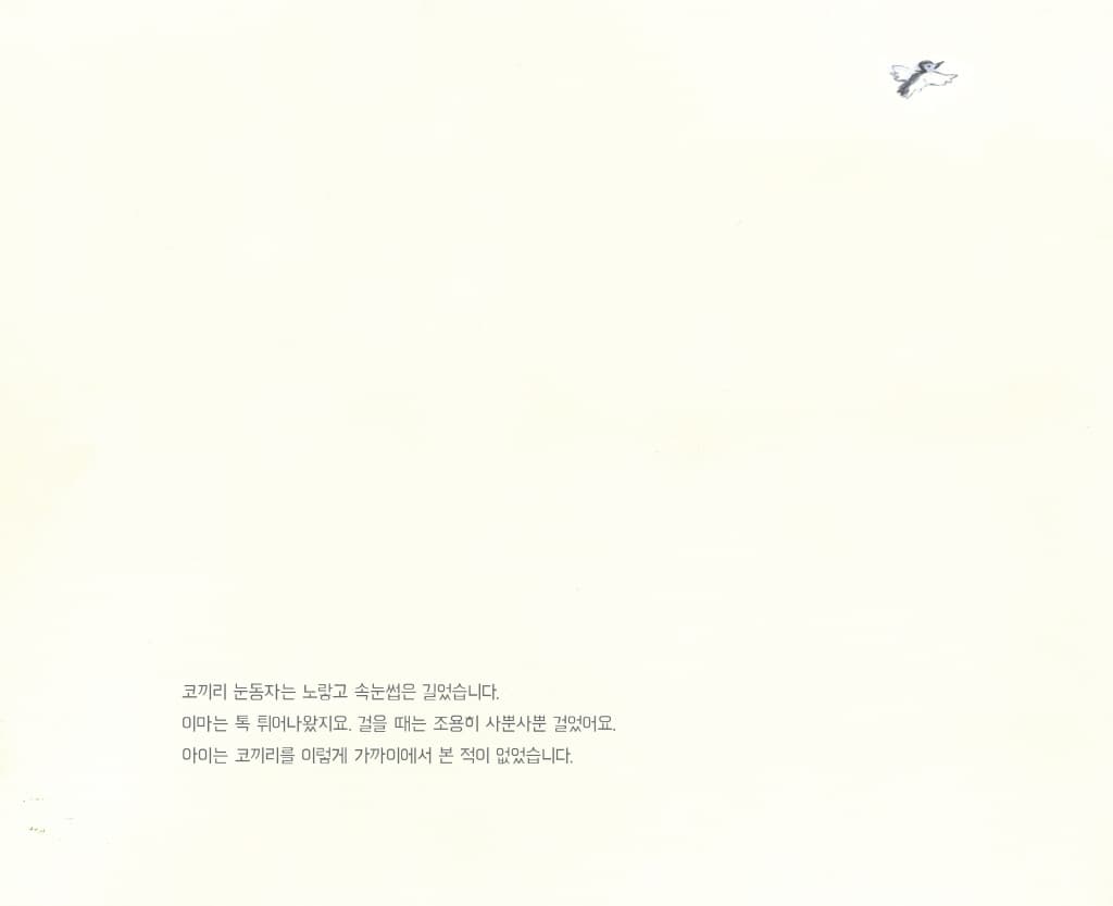 강 너머 숲에서 소리가 울려 옵니다