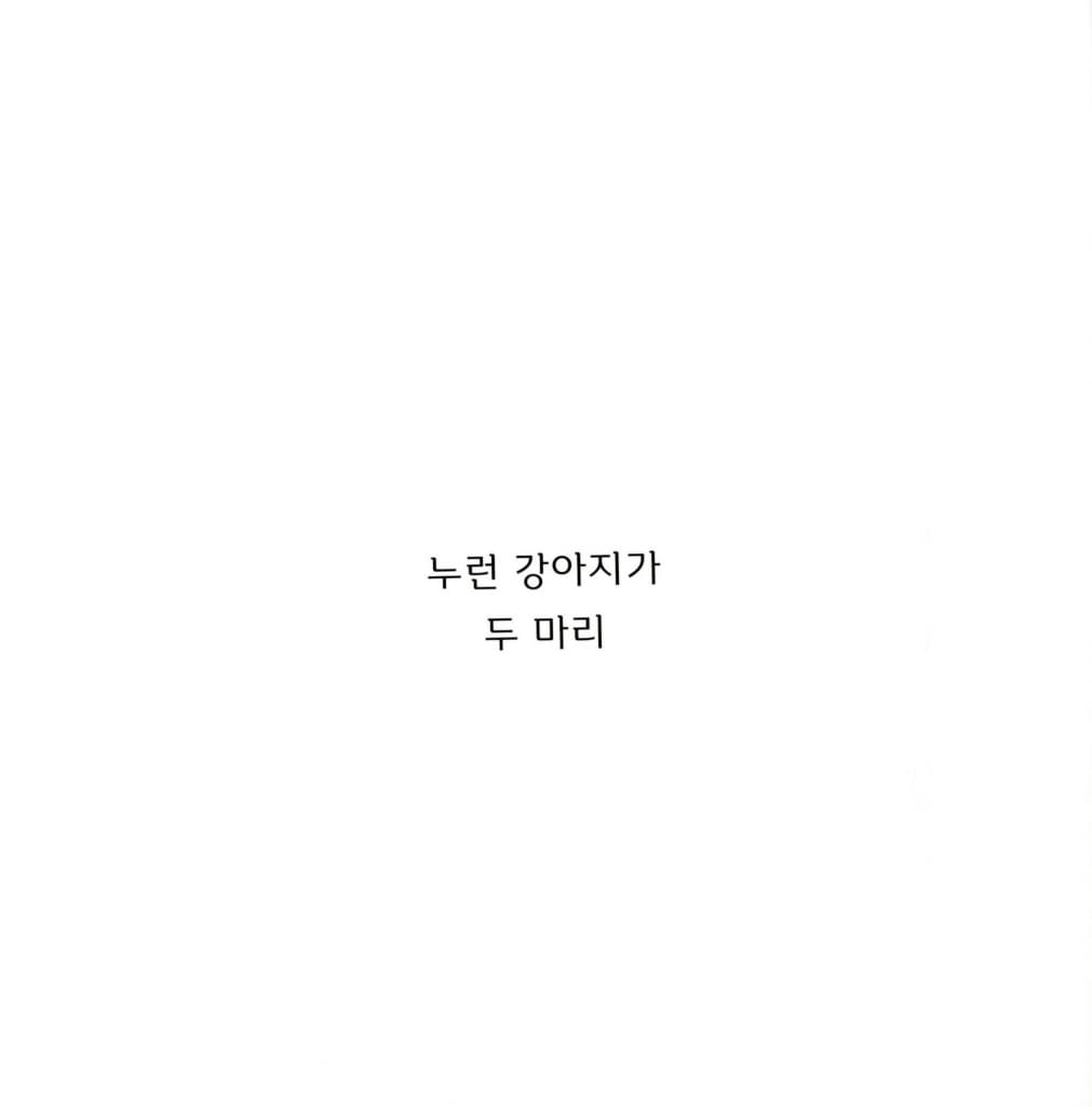 강아지야 다 모여!