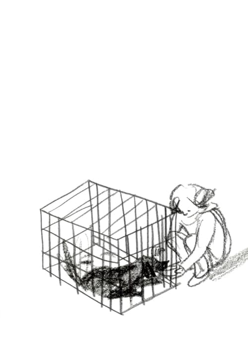 강이