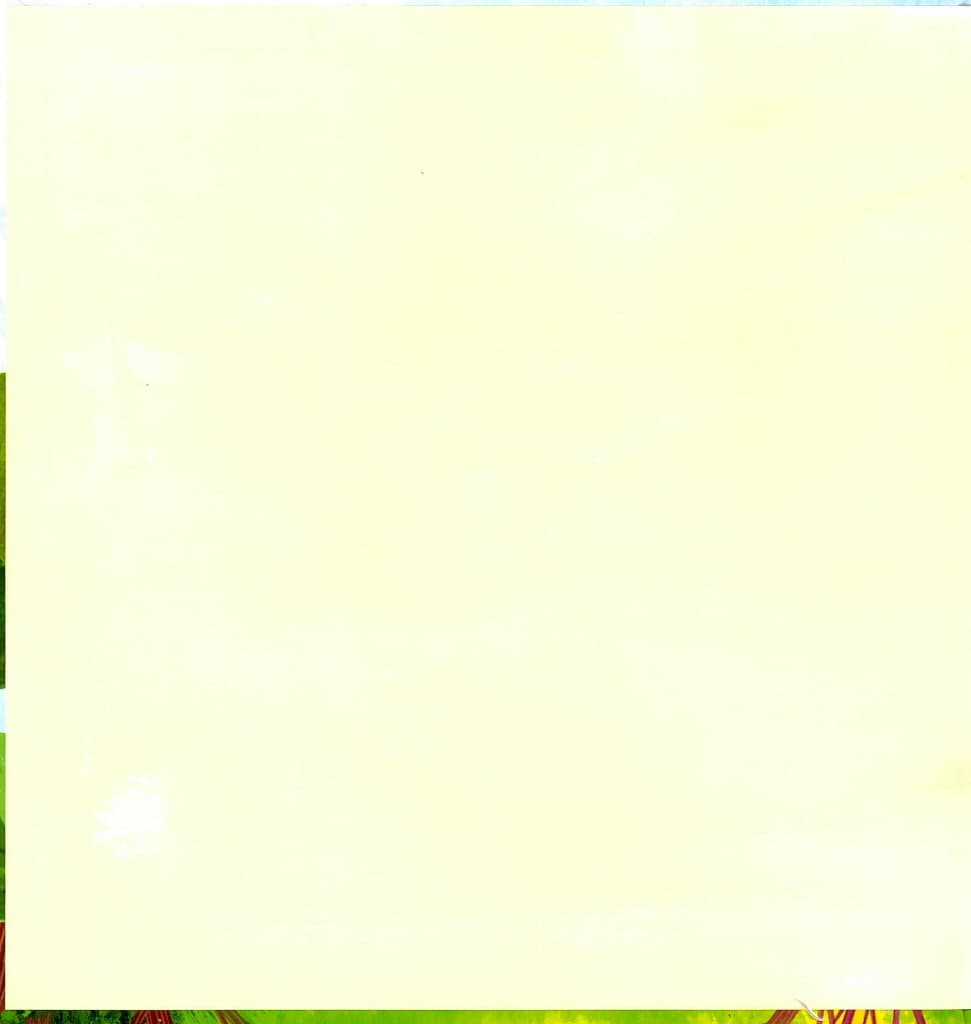 무지개 롤리팝