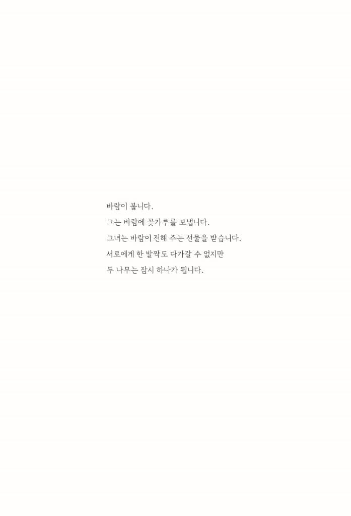 은행나무