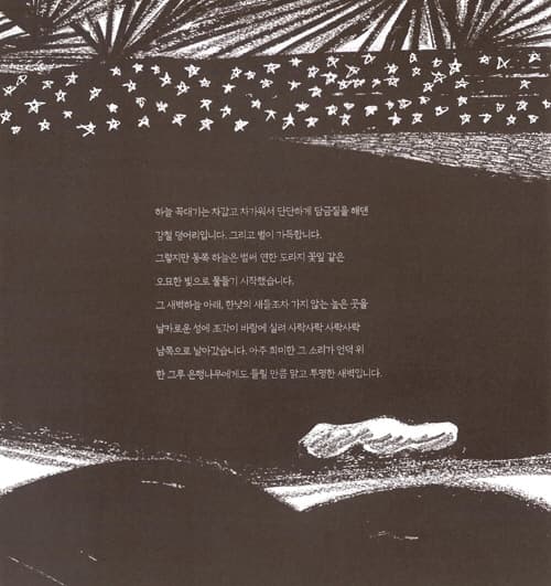 은행나무 열매