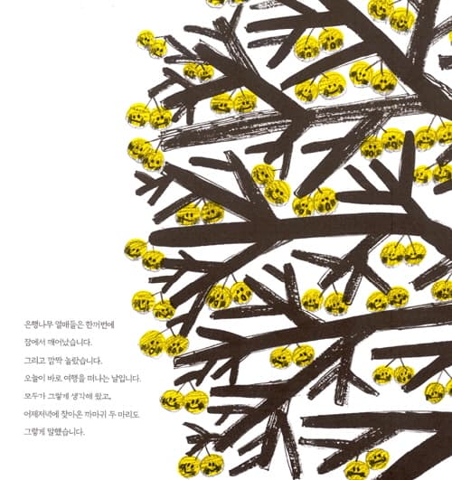 은행나무 열매