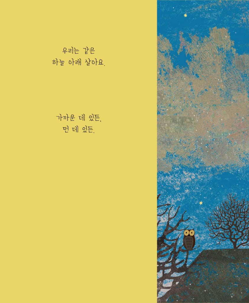 같은 하늘 아래