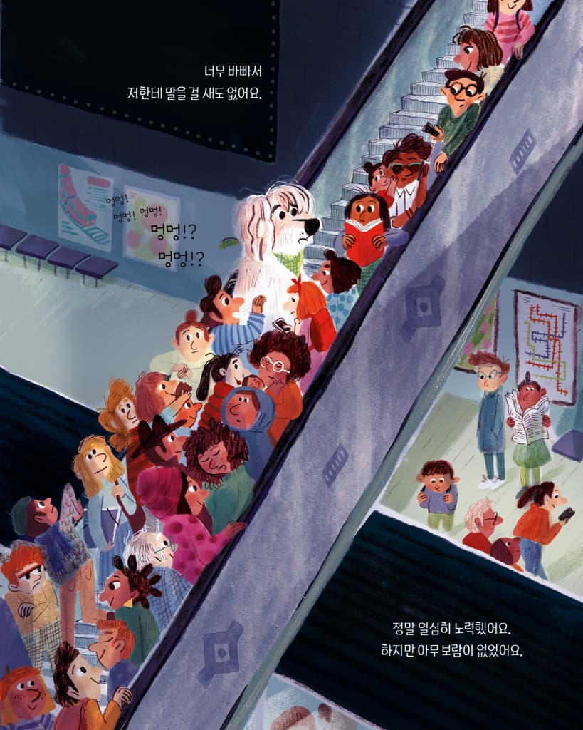 이 동네는 처음이라