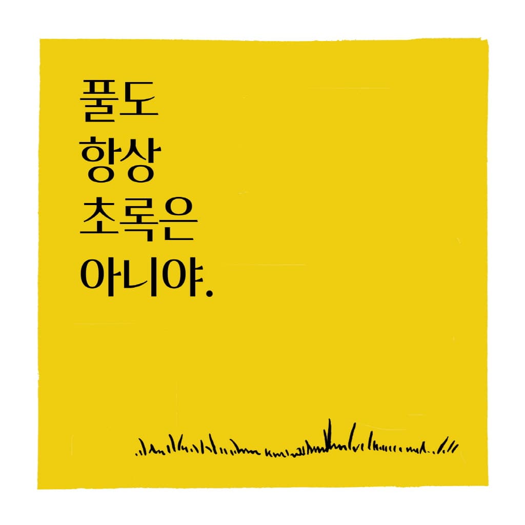 이 색 다 바나나